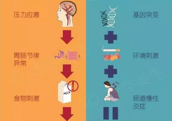 秒懂｜肠易激综合征 与 炎症性肠病 的区别