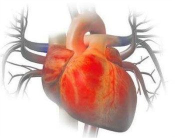 心脏血管堵塞能吃通心络吗？正确用药是关键