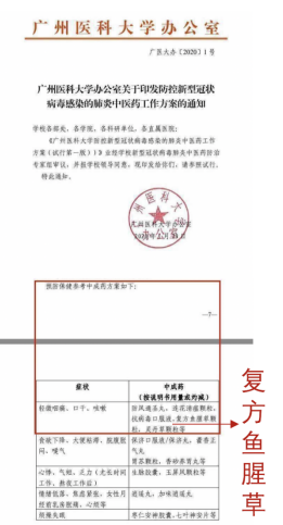 感染了新冠病毒，喉咙疼痛难忍！金笛如何治疗新冠？