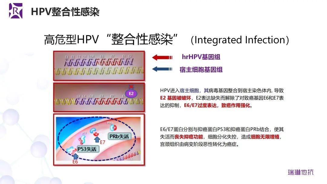 河北秦皇岛站第二期HPV治疗新方案研讨会