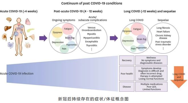 剑指长新冠相关疾病!安龄生物外泌体疗法临床研究填补国际空白